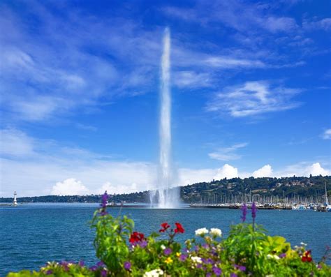 Enchanting Encounters: Lake Geneva's Magic Dhowd